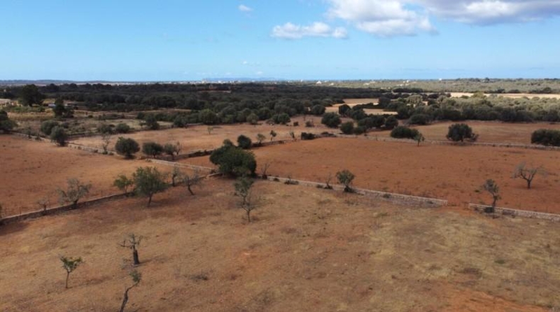 Islas Baleares - Las Salinas - 16000m2