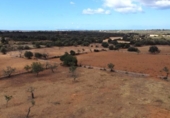 Terreno no urbanizable en venta en la España, Ses Salines, ref: TR386714 foto