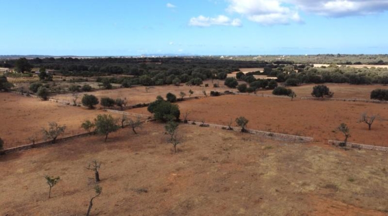 Islas Baleares - Las Salinas - 16000m2
