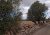 Terreno no urbanizable en venta en la España, Ses Salines, ref: TR386714 foto