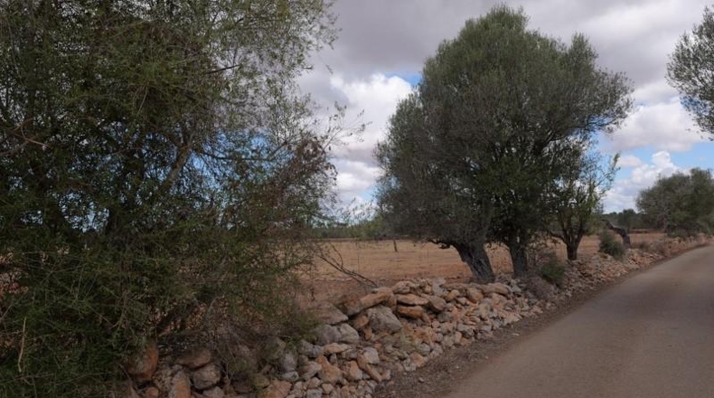 Islas Baleares - Las Salinas - 16000m2