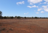 Terreno no urbanizable en venta en la España, Ses Salines, ref: TR386714 foto