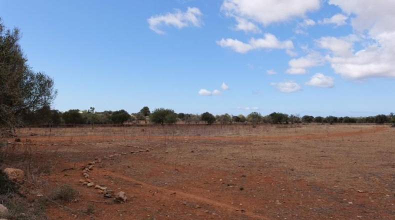 Islas Baleares - Las Salinas - 16000m2