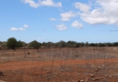 Terreno no urbanizable en venta en la España, Ses Salines, ref: TR386714 foto