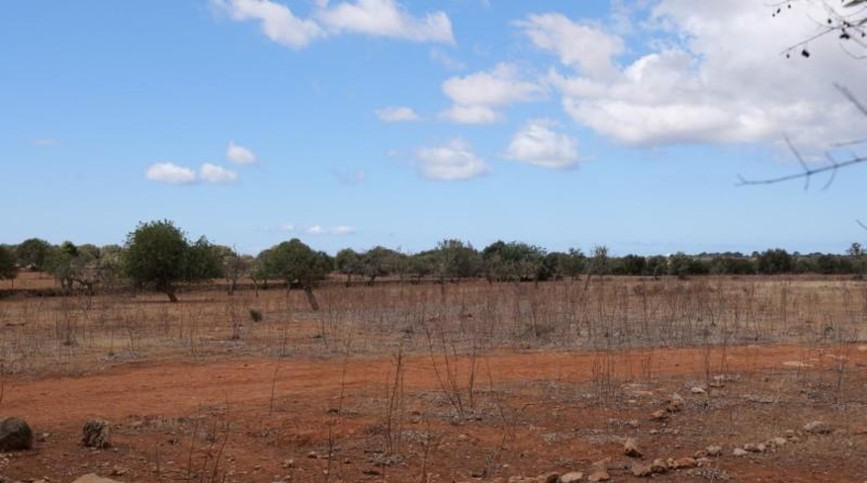 Islas Baleares - Las Salinas - 16000m2
