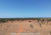 Terreno no urbanizable en venta en la España, Ses Salines, ref: TR386714 foto