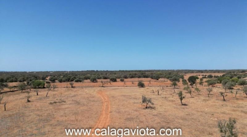 Islas Baleares - Las Salinas - 16000m2
