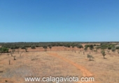 Terreno no urbanizable en venta en la España, Ses Salines, ref: TR386714 foto