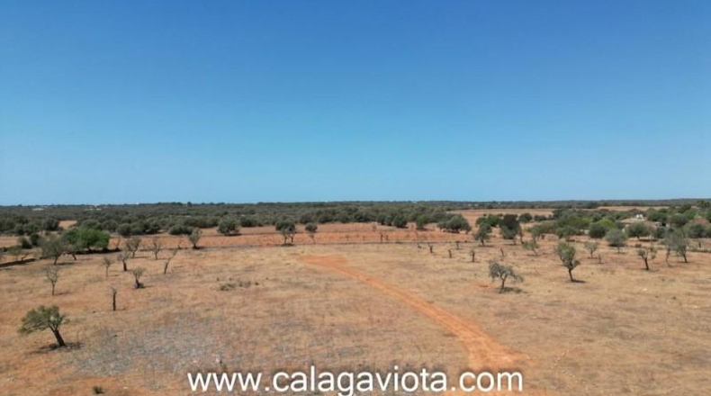 Islas Baleares - Las Salinas - 16000m2