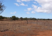Terreno no urbanizable en venta en la España, Ses Salines, ref: TR386714 foto