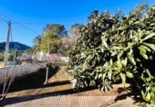 Chalet independiente con terreno en venta en la España, Pratdip, ref: TR381306 foto