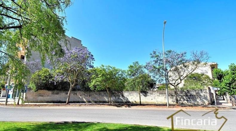 Balearic Islands - Manacor - 478m2