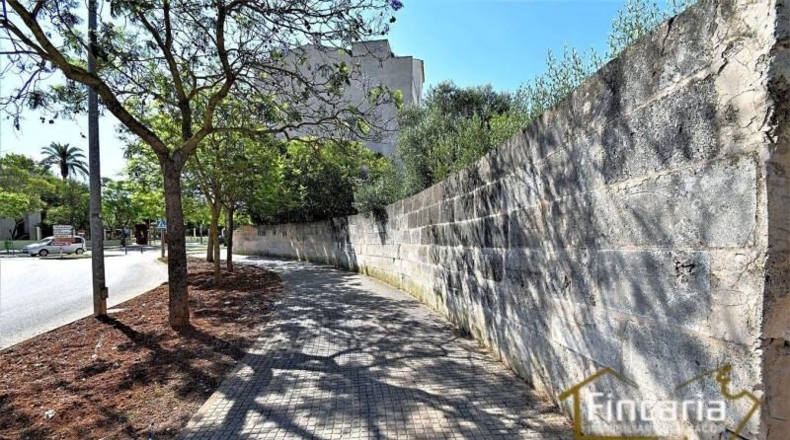 Balearic Islands - Manacor - 478m2