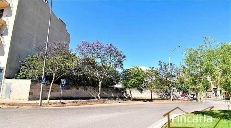 Balearic Islands - Manacor - 478m2