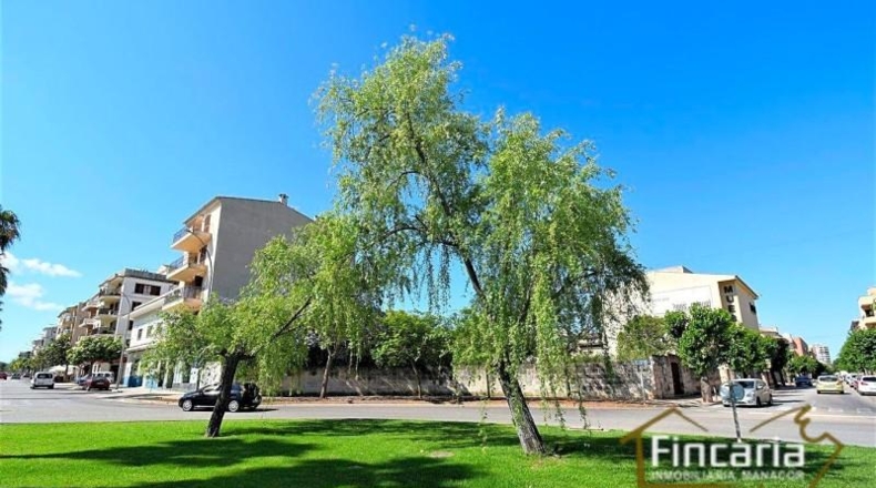 Balearic Islands - Manacor - 478m2