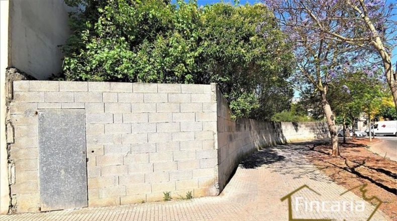 Balearic Islands - Manacor - 478m2