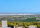 Chalet independiente con terreno en venta en la España, San Miguel de Salinas, ref: TR369574 foto