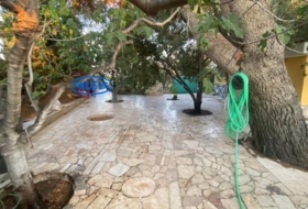 Foto 9