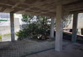 Parcela urbanizable en venta en la España, Llançà, ref: TR315917 foto