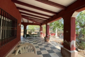 Foto 14