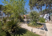Chalet independiente con terreno en venta en la España, Redován, ref: TR404027 foto