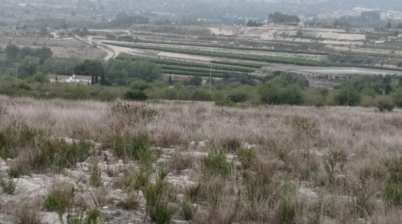 Valencia - Albaida - 241448m2