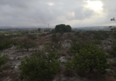 Casa de campo con terreno en venta en la España, Albaida, ref: TR316983 foto