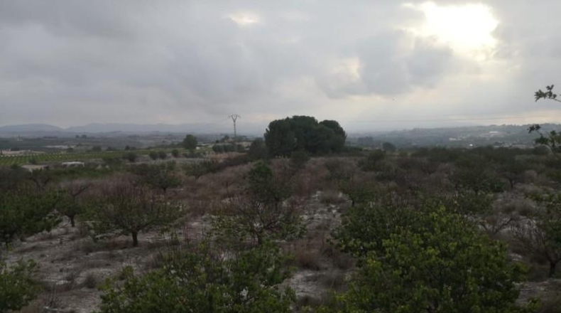 Valencia - Albaida - 241448m2