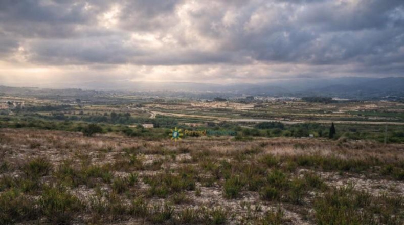 Valencia - Albaida - 241448m2