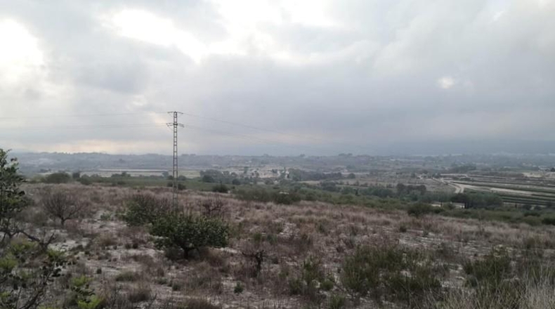 Valencia - Albaida - 241448m2