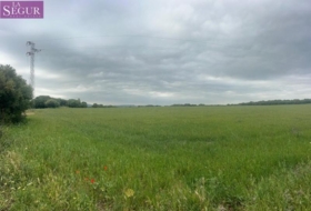 Vejer de la Frontera 40000&nbsp;m²