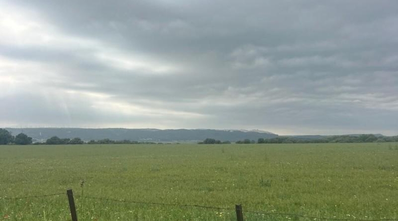 Cádiz - Vejer de la Frontera - 40000m2
