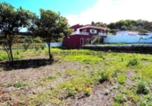 Casa de campo con terreno en venta en la España, Icod de los Vinos, ref: TR321035 foto