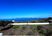 Casa de campo con terreno en venta en la España, Icod de los Vinos, ref: TR321035 foto