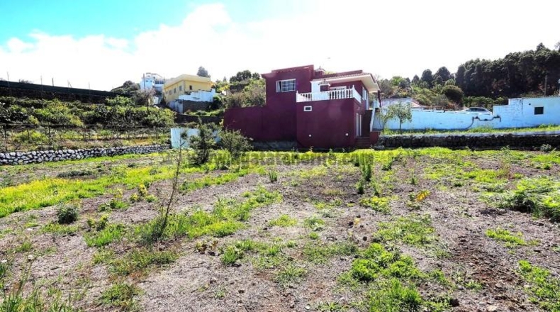 Santa Cruz de Tenerife - Icod de los Vinos - 1470m2