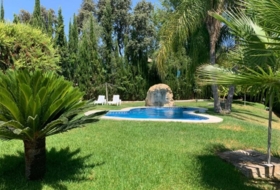 Foto 9
