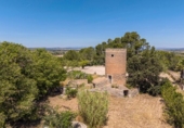 Country house with land for sale on España, Manacor, ref: TR412415 photo
