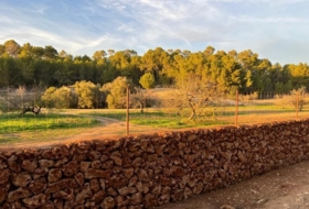 Porreras 23285&nbsp;m²