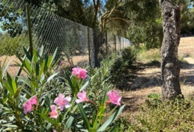 Porreras 23285&nbsp;m²