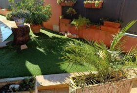 Foto 6