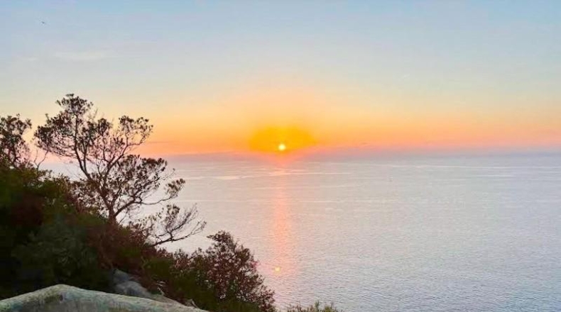 Islas Baleares - Llucmajor - 636m2