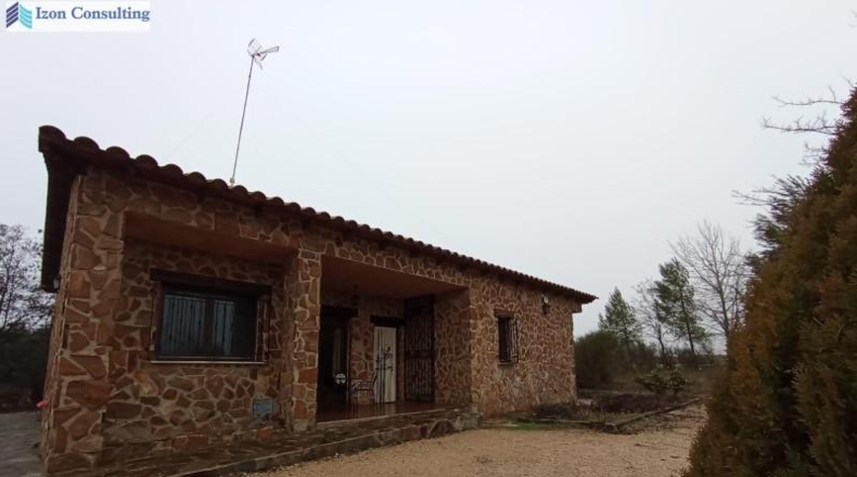 Toledo - Toledo - 11000m2
