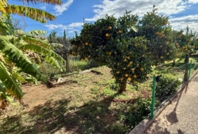 Cartagena 2800&nbsp;m²