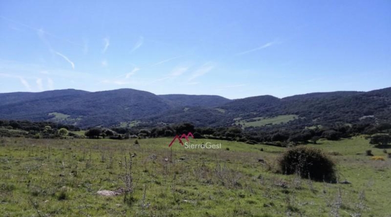 Málaga - Кортес де ла Фронтера - 170043m2