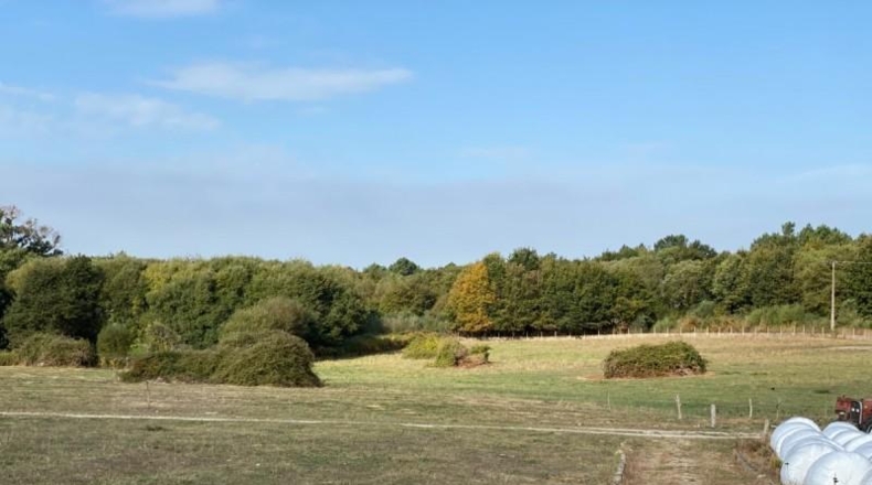 Orense - Amoeiro - 31000m2