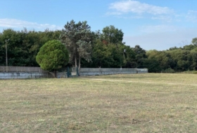Foto 11