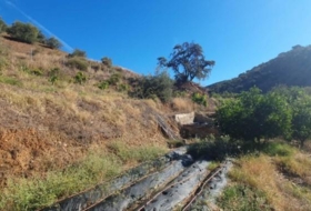 Foto 8