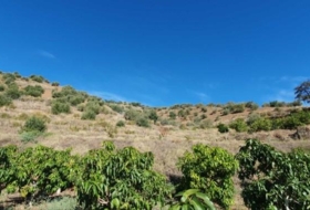 Foto 13