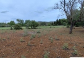Terreno no urbanizable en venta en la España, Capdepera, ref: TR131225 foto