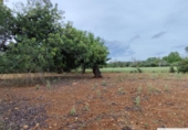 Terreno no urbanizable en venta en la España, Capdepera, ref: TR131225 foto